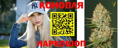 хмурый Новозыбков