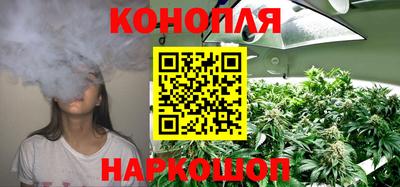 герыч Новодвинск