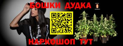 хмурый Новозыбков