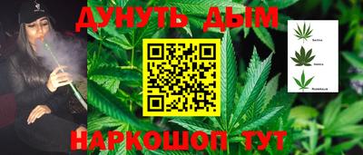 хмурый Новозыбков