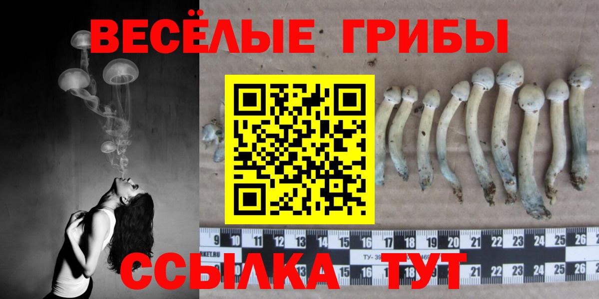 Галлюциногенные грибы мицелий  Вход с VPN  Туапсе 